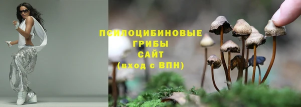 прущие крисы Беломорск